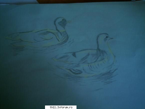 desene rate ...gaste ...ce-o !&nbsp; ^ AdMiNiStRaToR ^