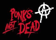 Punk - ~!StupidStory!~ - ^Stiluri^